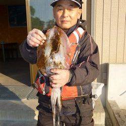 アオリイカ1kg級を3バイ♪　湯浅の磯のヤエン釣り