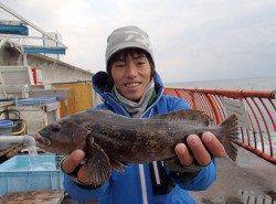 冬のグルメ　アイナメを狙う【高田玲欧氏連載記事No.20】