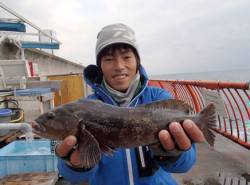 冬のグルメ　アイナメを狙う【高田玲欧氏連載記事No.20】