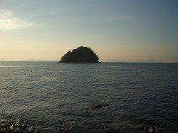 鰯浜漁港 潮に動きが無い中ルアーでタチウオ&ハネ