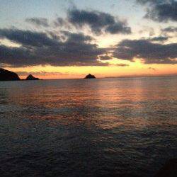 大引漁港でのヤエン釣果