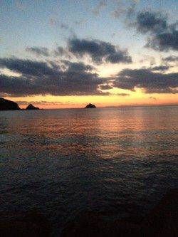 大引漁港でのヤエン釣果