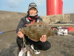 岸和田一文字　のませでヒラメ60cm＆スズ…