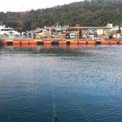 家島の海上釣り堀　青物の活性よくブリ&カンパチ&ハマチget！