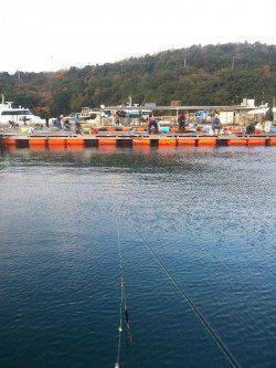 家島の海上釣り堀　青物の活性よくブリ&カンパチ&ハマチget！