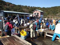 家島　大賑わいの海上釣り堀でマダイ＆青物狙…