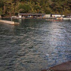 新井崎でエギング　諦めかけた時にアオリが掛かりました