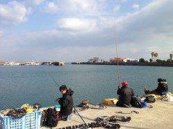 佐野の投げ釣りでキス74匹！ 引き存分に味わえました♪