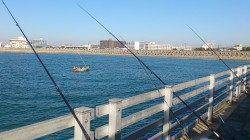 新浜漁港にて探り釣り、アイナメをキャッチ