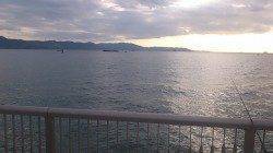 林崎漁港の投げ釣り　夕方に良型キスがきました