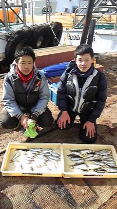 旧一文字赤灯、釣り少年達のサビキ釣果