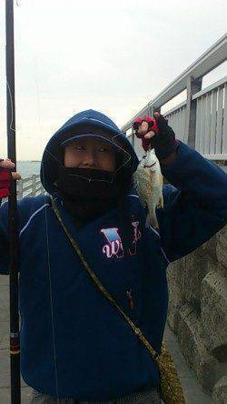 新浜漁港　投げ＆探り釣りでチヌ・ガシラ・メバルなど☆