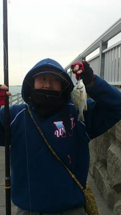 新浜漁港　投げ＆探り釣りでチヌ・ガシラ・メ…