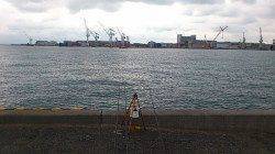 兵突で投げ釣り&サビキ　色々な魚種が釣れました♪