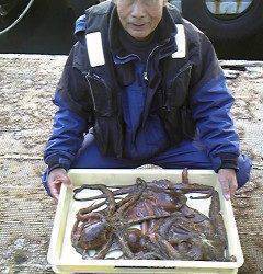 沖一文字北、カニをエサにタコ4杯、合計3.5キロでした