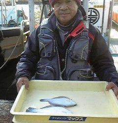 本日カレイが良く釣れています！沖一文字で投げ釣り