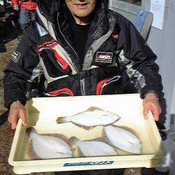 岸和田一文字　投げのカレイ楽しめてます