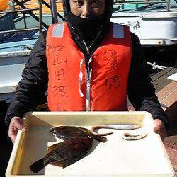 岸和田一文字　投げのカレイ楽しめてます