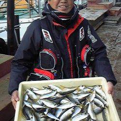 岸和田一文字　サビキのアジまだまだ狙えます