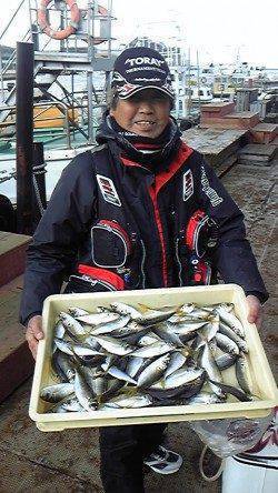 岸和田一文字　サビキのアジまだまだ狙えます