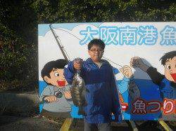 南港海釣り公園　チヌの他ウルメイワシの回遊もあり