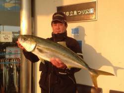 尼崎市魚つり公園　のませでブリ80cm　他…