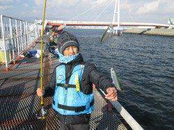 尼崎市魚つり公園　のませでブリ80cm　他サッパ・アジ・セイゴなど