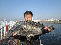 尼崎市魚つり公園、チヌ・セイゴ狙いなら小粒のエビが吉
