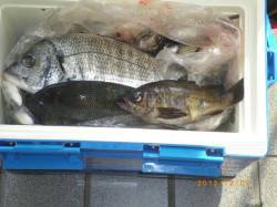 姫路市立遊漁センター　メバル・チヌ・グレな…