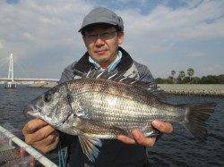 尼崎市魚つり公園　ズボ釣りでチヌ42cmの姿も