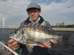 尼崎市魚つり公園　ズボ釣りでチヌ42cmの…