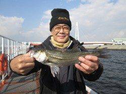 尼崎市魚つり公園　ズボ釣りでチヌ42cmの姿も