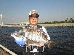 尼崎市魚つり公園でウキ釣り、チヌ3枚にセイゴ6匹