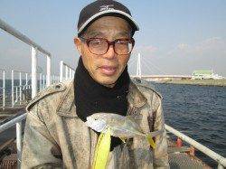 尼崎市魚つり公園、サビキではアジよりも小チヌが多いです