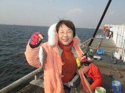 尼崎市魚つり公園、サビキではアジよりも小チヌが多いです