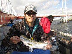 尼崎市魚つり公園　ズボ釣りでセイゴ・チヌなど　ハゼの姿も