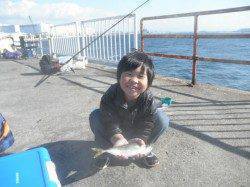 南港海釣り公園　波高い中でのアジ・ガシラの釣果