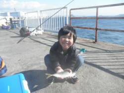 南港海釣り公園　波高い中でのアジ・ガシラの…