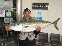 尼崎市魚つり公園　のませ釣りでブリ＆スズキ！　チヌやセイゴの釣果も