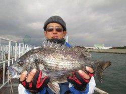 尼崎市魚つり公園で47cmのチヌ!フカセ釣りにて