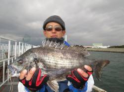 尼崎市魚つり公園で47cmのチヌ！フカセ釣…