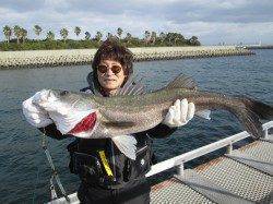 ズボ釣りでセイゴ大漁！大物スズキも！尼崎市魚つり公園