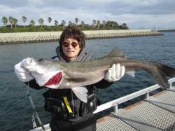 ズボ釣りでセイゴ大漁！大物スズキも！尼崎市…