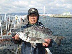ズボ釣りでセイゴ大漁！大物スズキも！尼崎市魚つり公園