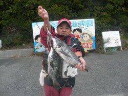 43cmを筆頭にチヌ3匹GET！南港海釣り公園