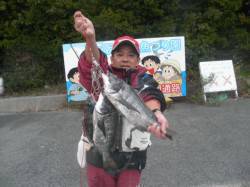 43cmを筆頭にチヌ3匹GET！南港海釣り…