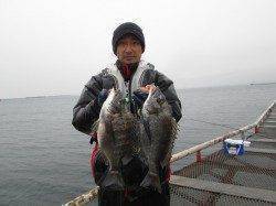 雨の尼崎市魚つり公園、フカセ釣りでチヌ