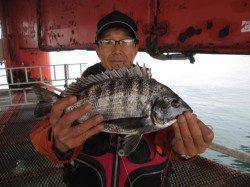 サビキでアジ以外の魚が釣れています 尼崎市魚つり公園