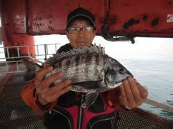 サビキでアジ以外の魚が釣れています　尼崎市…