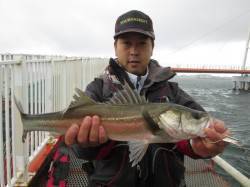 尼崎市魚つり公園、サビキ釣りでアジにコノシ…